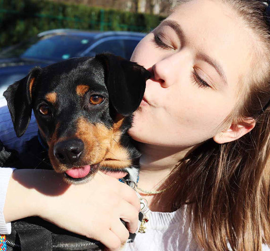 Wie deinen Hund stärker an dich binden?
